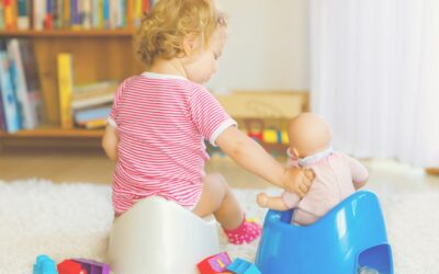 The Journey to Toilet Training your Toddler