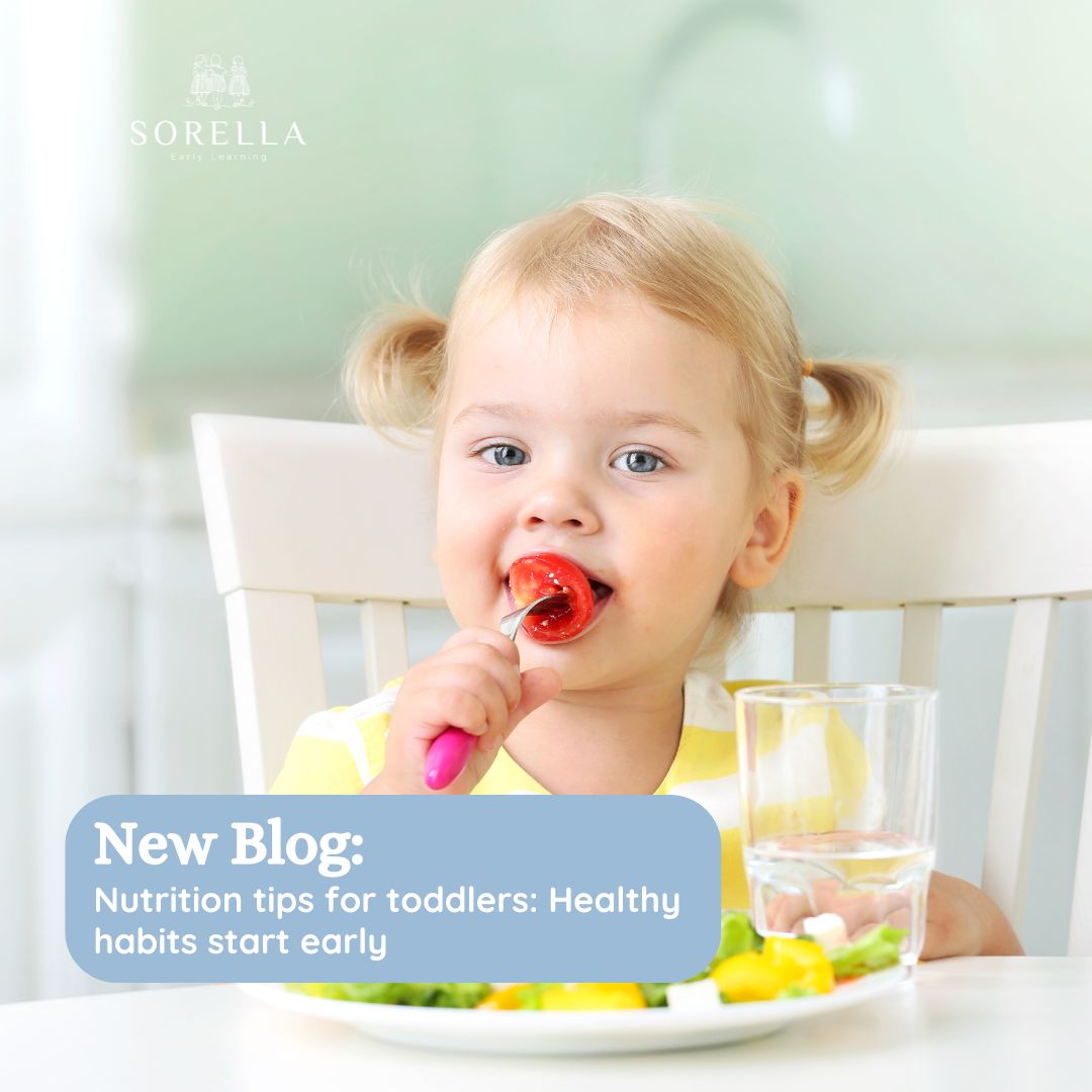 Nutrition tips for toddlers: Healthy habits start early - Sorella Early